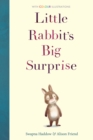 Image for Little Rabbit&#39;s big surprise