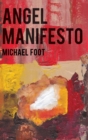 Image for Angel manifesto