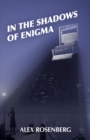 Image for In the Shadows of Enigma: A Novel