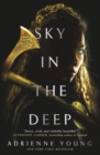 Image for Sky in the deep