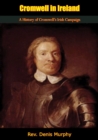 Image for Cromwell in Ireland