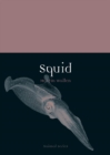 Image for Squid