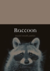 Image for Raccoon