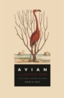 Image for Avian Illuminations