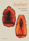 Image for Amber  : from antiquity to eternity
