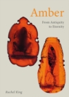Image for Amber: from antiquity to eternity