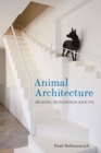 Image for Animal architecture  : beasts, buildings and us
