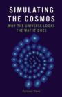 Image for Simulating the cosmos: why the Universe looks the way it does
