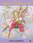 Image for Fairy Coloring