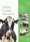 Image for Dairy cattle: welfare in practice