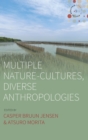 Image for Multiple nature-cultures, diverse anthropologies