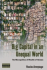 Image for Big Capital in an Unequal World: The Micropolitics of Wealth in Pakistan