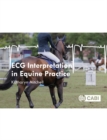 Image for ECG interpretation in equine practice