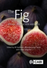Image for The fig