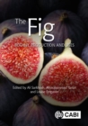 Image for The Fig