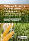 Image for Molecular breeding in wheat, maize and sorghum  : strategies for improving abiotic stress tolerance and yield