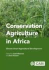Image for Conservation agriculture in Africa  : climate smart agricultural development