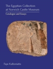 Image for The Egyptian collection at Norwich Castle Museum  : catalogue and essays