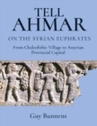 Image for Tell Ahmar on the Syrian Euphrates  : from Chalcolithic village to Assyrian provincial capital
