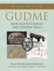 Image for Gudme: Iron Age Settlement and Central Halls