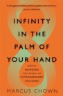 Image for Infinity in the palm of your hand  : fifty wonders that reveal an extraordinary universe