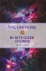 Image for The universe in bite-sized chunks