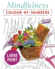 Image for Mindfulness Colour-by-Numbers Large Print