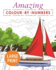 Image for Amazing Colour-by-Numbers Large Print