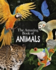 Image for The Amazing Book of Animals