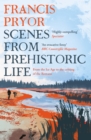 Image for Scenes from prehistoric life: from the Ice Age to the coming of the Romans