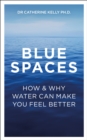 Image for Blue spaces  : how and why water can make you feel better
