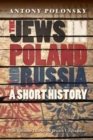 Image for The Jews in Poland and Russia: a short history
