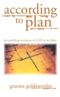 Image for According to plan: the unfolding revelation of God in the Bible
