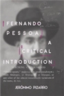 Image for Fernando Pessoa  : a critical introduction