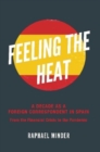 Image for Feeling the Heat