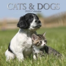 Image for Cats &amp; Dogs