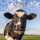 Image for Cows : 2020 Square Wall Calendar