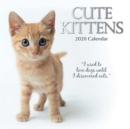 Image for Cute Kittens
