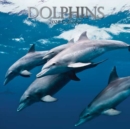 Image for Dolphins : 2020 Square Wall Calendar