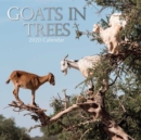 Image for Goats in Trees