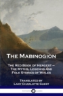 Image for The Mabinogion : The Red Book of Hergest - The Myths, Legends and Folk Stories of Wales