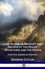 Image for Last Rambles Amongst the Indians of the Rocky Mountains and the Andes : A Native American History