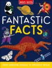 Image for Fantastic Facts