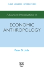 Image for Advanced Introduction to Economic Anthropology
