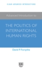 Image for Advanced introduction to the politics of international human rights