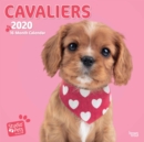 Image for Cavaliers 2020 Square Wall Calendar
