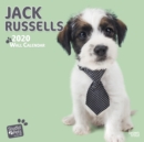 Image for Jack Russells 2020 Square Wall Calendar