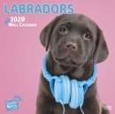 Image for Labradors 2020 Square Wall Calendar