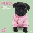 Image for Pugs 2020 Square Wall Calendar