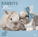 Image for Rabbits 2020 Square Wall Calendar